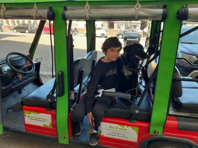 Florence Golf Cart Tour - Half Day - Guided Tour - Description