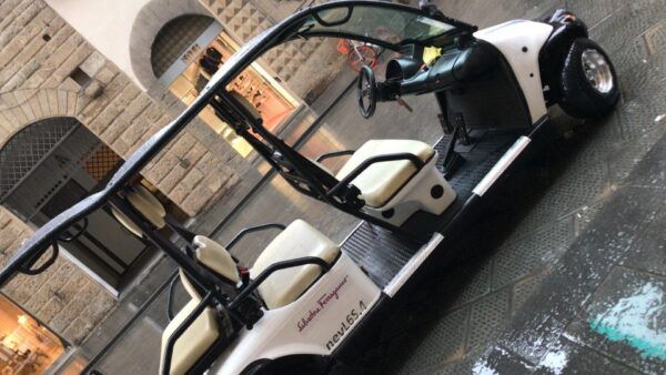 Florence: Golf Cart Tour With Panoramic Views - Guided Tour Experience