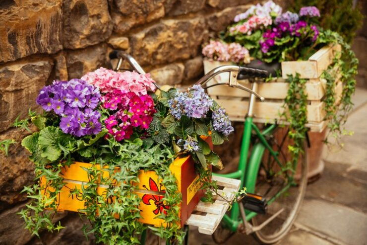 Florence: Introduction to Florence Guided Walking Tour - Cancellation Policy