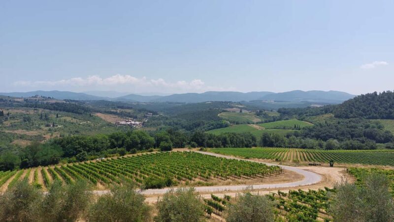 Florence like a local wine teasting - Wine Tasting and the Taste of Tuscany
