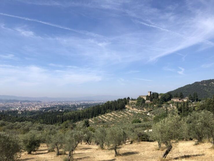 Florence: Local Hiking Tour With Wine and Lunch - Activity Description