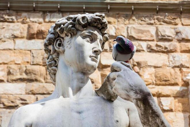 Florence: Michelangelos David - Fun Facts Only Tour - Experience Highlights