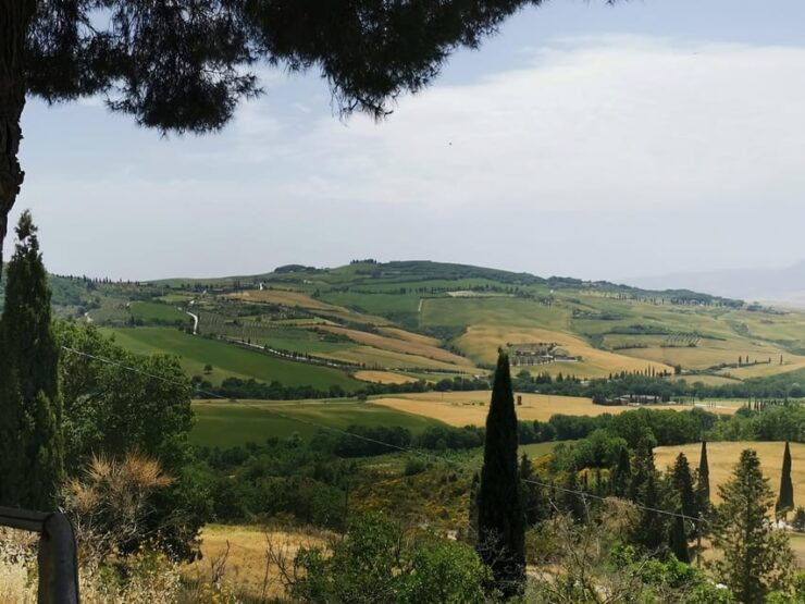 Florence: Montepulciano, Pienza, & Montalcino Private Trip - Itinerary Details