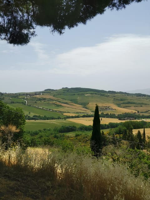 Florence: Montepulciano, Pienza, & Montalcino Private Trip - Customer Feedback