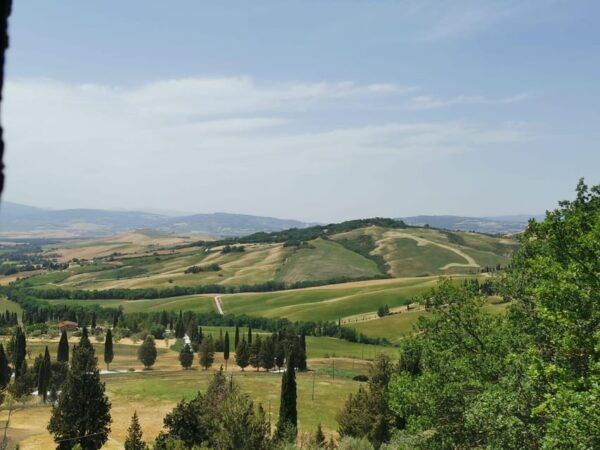 Florence: Montepulciano, Pienza, & Montalcino Private Trip - Travel Tips