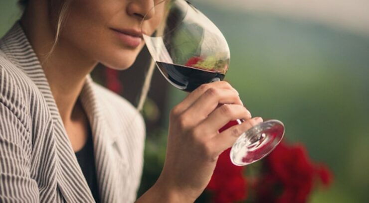 Florence or Bologna: 2 Cellar Tours in Chianti With Lunch - Experience and Activities