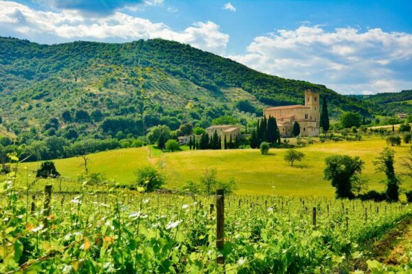 Florence: Orcia Valley, Montalcino, Pienza With Lunch & Wine - Additional Information