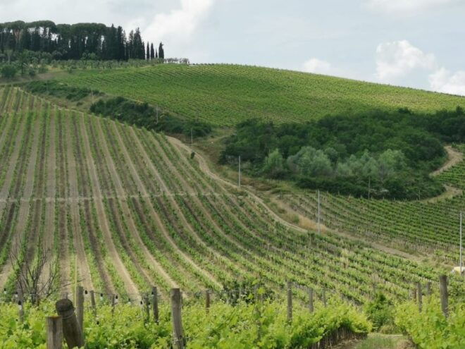 Florence: Panoramic Vip Tour With Maserati - Activity Description