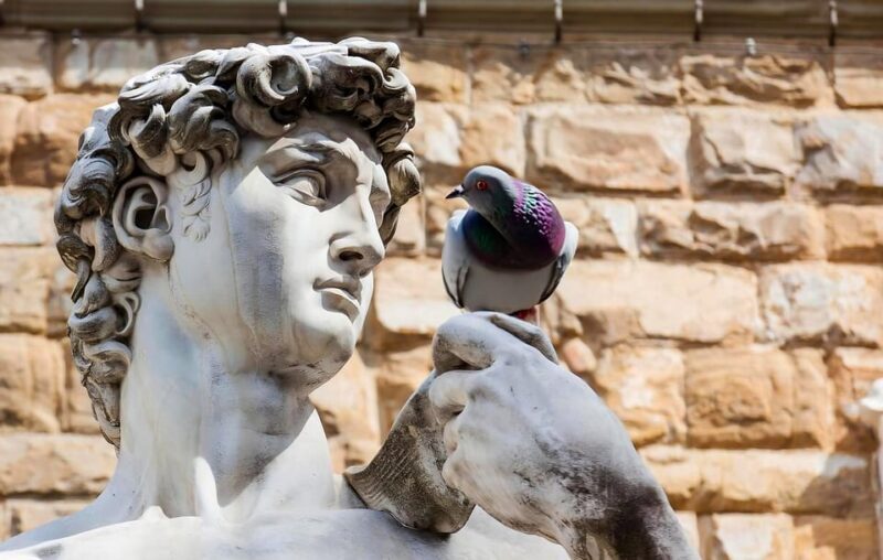 Florence: Piazza della Signoria & David - Anti Walking Tour - Good To Know
