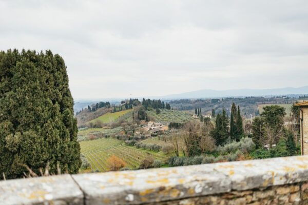 Florence: Pisa, Siena, San Gimignano, and Chianti Experience - Review Summary and Ratings