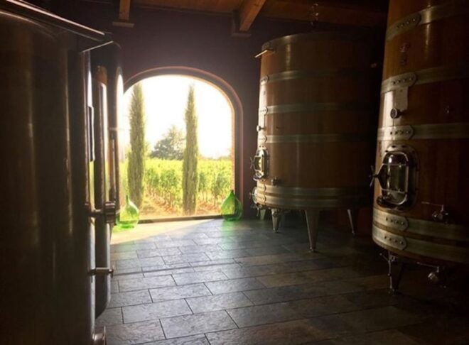 Florence: Private Full-Day Brunello Wine Tour to Montalcino - Customer Reviews