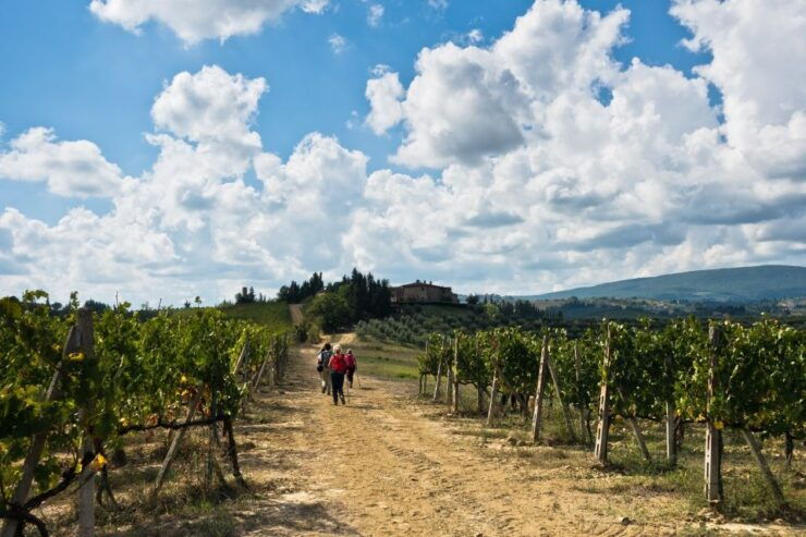 Florence: Private Full Day Tour to Chianti Wine Region - Good To Know