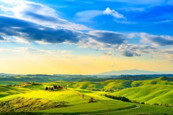 Florence: Private Full Day Tour to Chianti Wine Region - The Sum Up