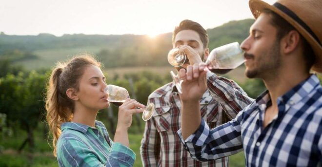 Florence: Private Half-Day Chianti Tour - Accessibility and Group Type