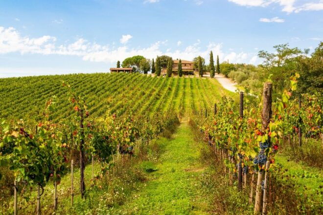 Florence: Private Half-Day Chianti Tour - Inclusions in the Tour Package