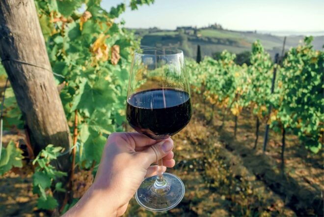 Florence: Private Half-Day Chianti Tour - Booking Information and Flexibility