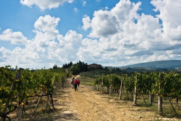 Florence: Private Half-Day Chianti Tour - Frequently Asked Questions