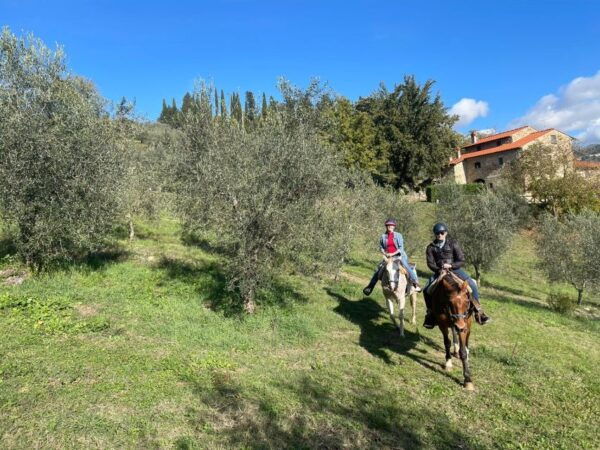 Florence: Private Horseback Tour With Wine Tasting and Lunch - How to Prepare