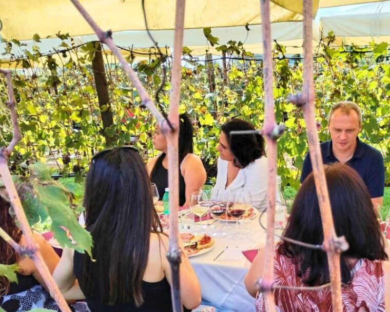 Florence: Private Tuscany Wine Tour with San Gimignano - The Practical Side: What You Should Know