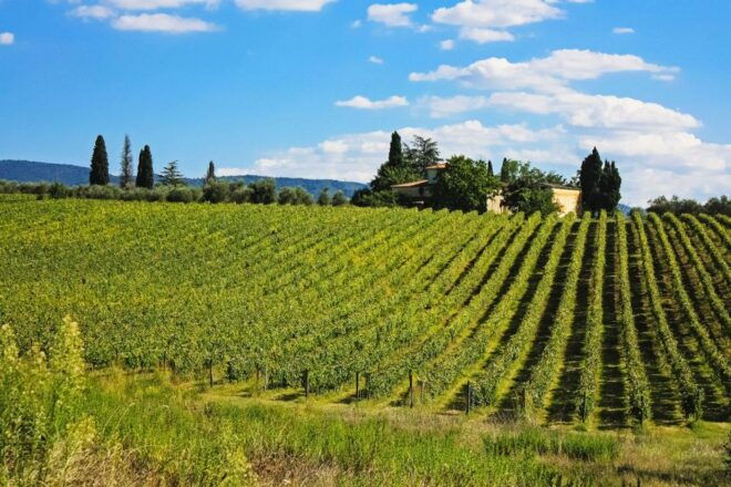 Florence: San Gimignano, Siena, and Chianti -Day Tour - Customer Reviews