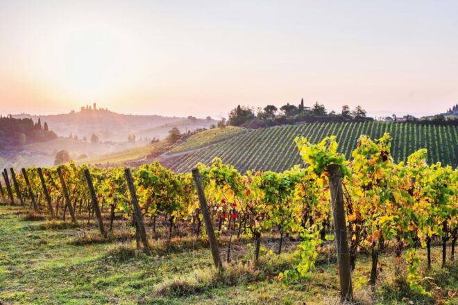Florence: Siena & San Gimignano Day Trip With Lunch & Wine - Highlights