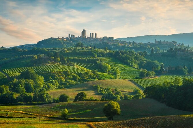 Florence Small-Group Winery and Lunch Morning Tour - Tour Overview and Details