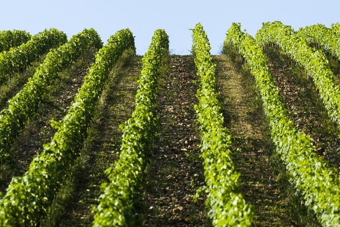 Florence Small-Group Winery and Lunch Morning Tour - Directions