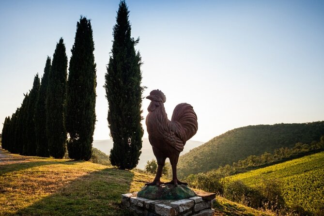 Florence Small-Group Winery and Lunch Morning Tour - The Sum Up