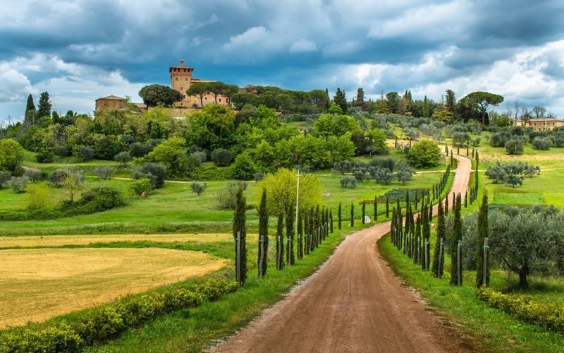 Florence to Chianti half day vineyard and wine tasting tour - Key points to know before you go