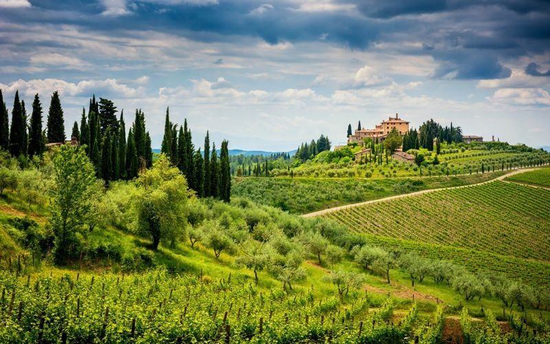 Florence to Chianti half day vineyard and wine tasting tour - Guide commentary: useful, with one caveat