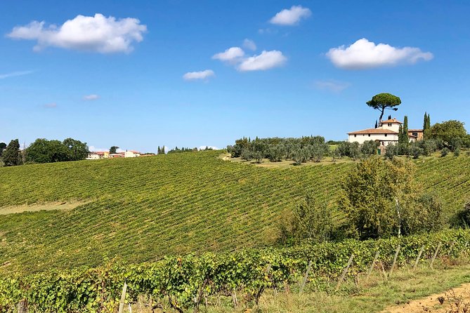 Florence to Tuscany Off-The-Beaten-Path Wine Tour Semi-Private - Charming Wineries in Tuscany