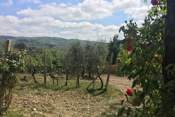 Florence to Tuscany Off-The-Beaten-Path Wine Tour Semi-Private - Common Questions