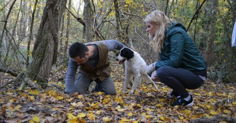 Florence: Truffle Hunting, Lunch, and Wine Tasting Tour - What This Tour Offers in Terms of Value
