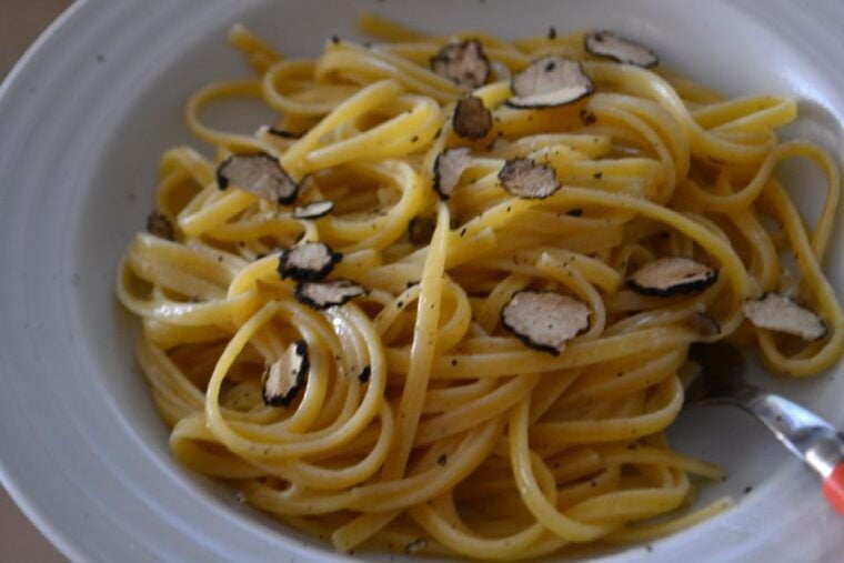 Florence: Truffle Hunting, Lunch, and Wine Tasting Tour - Final Thoughts: Is This Tour Right for You?