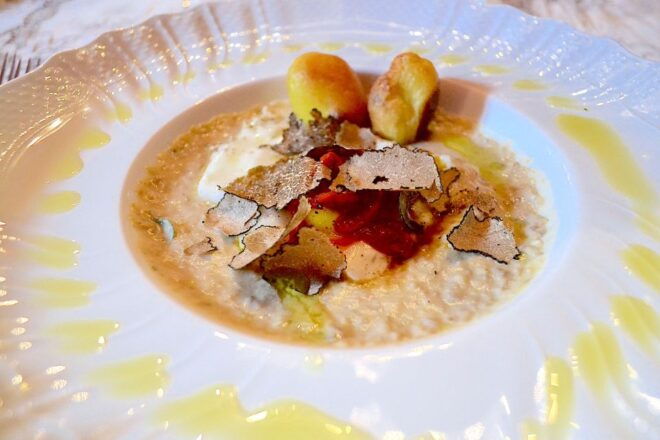 Florence: Truffle Hunting Tour, Wine Tasting, and Lunch - Experience Overview