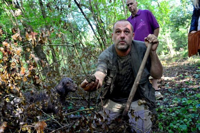 Florence: Truffle Hunting Tour, Wine Tasting, and Lunch - Meeting Point