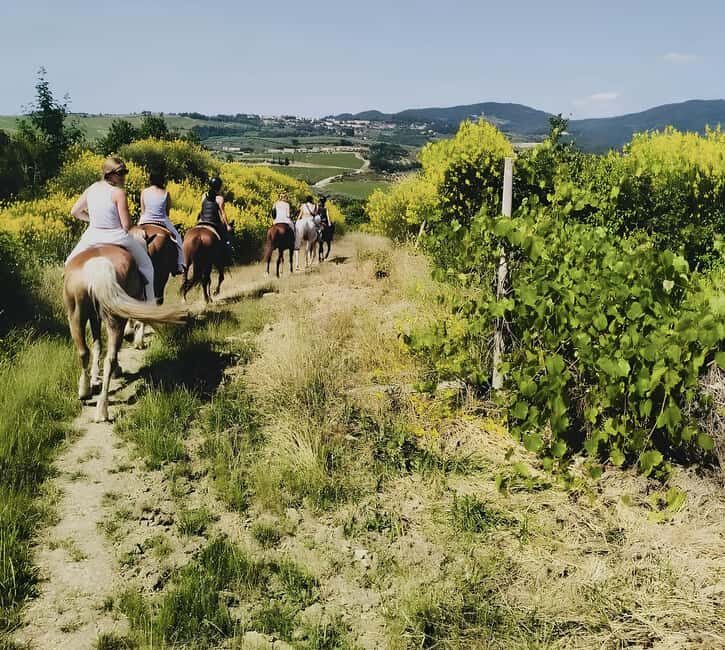 Florence: Tuscan Countryside Horseback Ride - An Overview of the Tuscany Horseback Experience