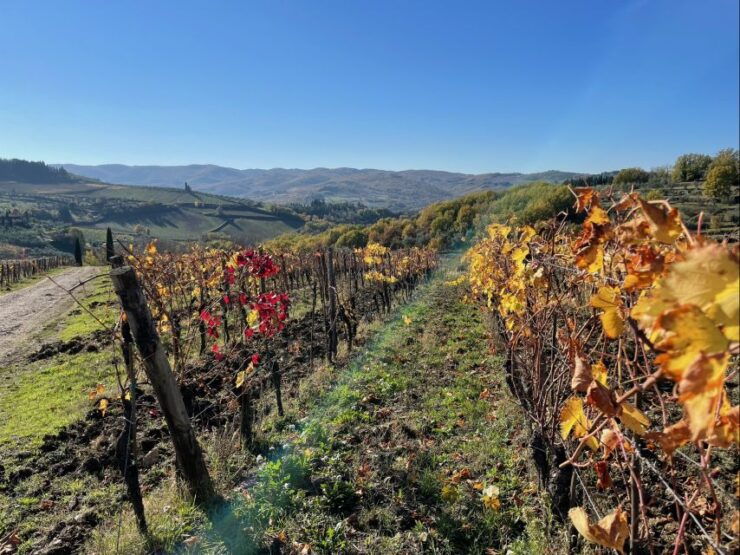 Florence: Tuscany & Chianti Classico Trek & Wine With Lunch - Itinerary