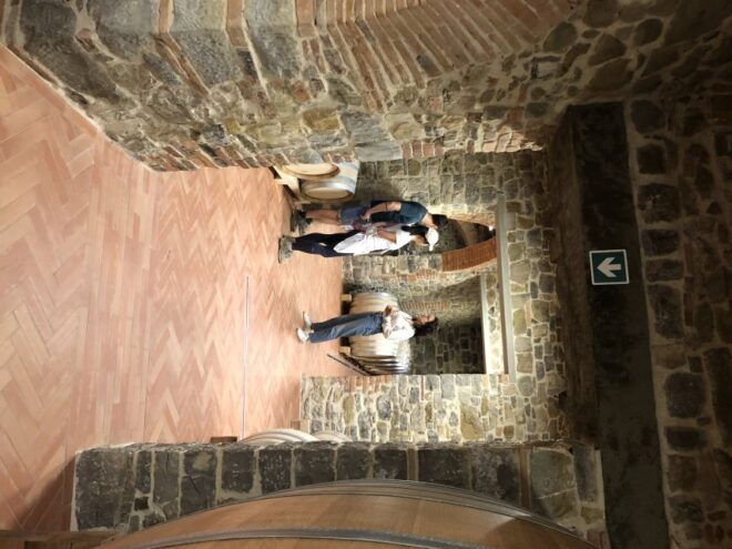 Florence: Tuscany & Chianti Classico Trek & Wine With Lunch - Experience