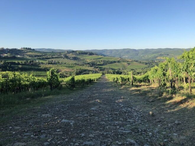 Florence: Tuscany & Chianti Classico Trek & Wine With Lunch - Inclusions