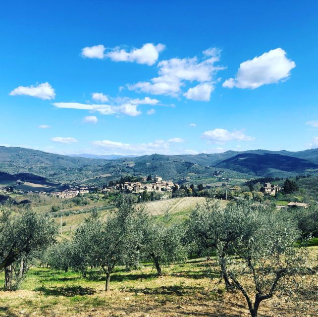 Florence: Tuscany & Chianti Classico Trek & Wine With Lunch - Important Information