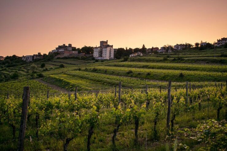Florence: Tuscany Chianti Winery Private Day-Trip With Lunch - Good To Know