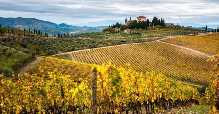 Florence: Tuscany Highlights Bus Tour With Winery Visit - Booking Information