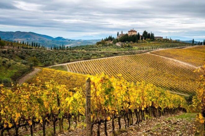 Florence: Tuscany Highlights Bus Tour With Winery Visit - Itinerary