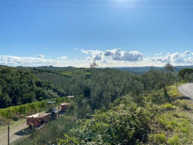 Florence: Tuscany Highlights Bus Tour With Winery Visit - Frequently Asked Questions