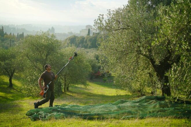 Florence: Tuscany Olive Oil, Coffee & Wine Small Group Tour - Highlights
