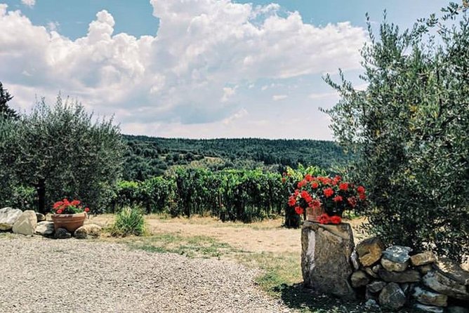 Florence, Tuscany Private Farm Tour Plus Food and Wine Tasting - Tour Highlights