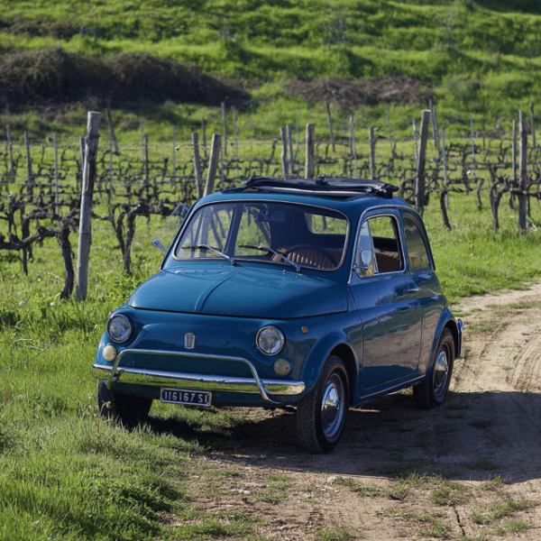 Florence & Tuscany: Vintage Fiat 500 Journey 9-11 AM - Booking Information and Policies