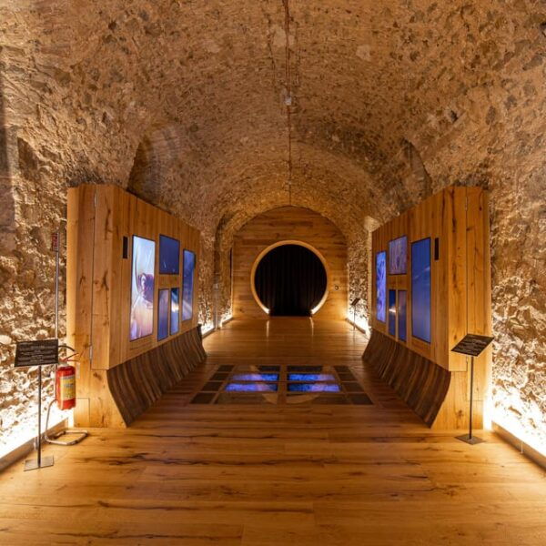 Florence: Val D'Orcia, Montalcino, Pienza With Lunch & Wine - Accessibility Considerations