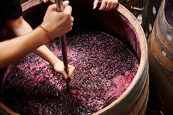 Florence: Wine Making Private Experience In Tuscany - Booking Information